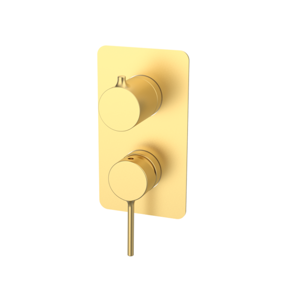 TIME Unterputz-Duscharmatur mit Umsteller und Abdeckplatte - Gold gebürstet PVD