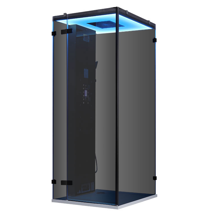 Dampfdusche DZ1008F12 schwarz