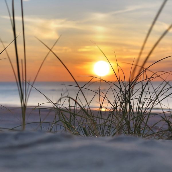 Wandplatte-Duschrückwand-Aluminiumverbund-individual-Decor