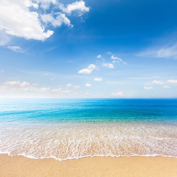 Wandplatte-Duschrückwand-Aluminiumverbund-individual-Decor-Meer