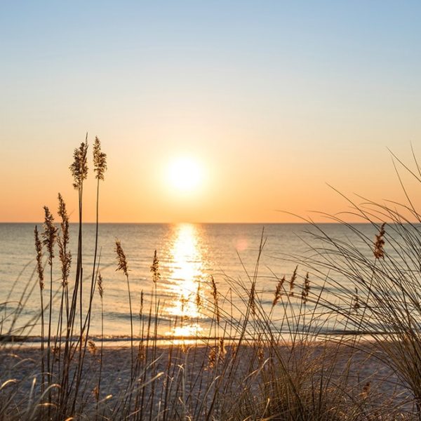 Wandplatte-Duschrückwand-Aluminiumverbund-individual-Decor