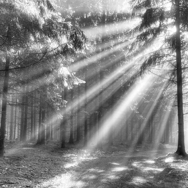 Wandplatte-Duschrückwand-Aluminiumverbund-individual-Decor-SW