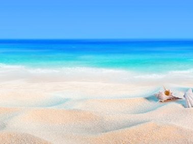 Wandplatte-Duschrückwand-Aluminiumverbund-individual-Decor-Küchenspiegel