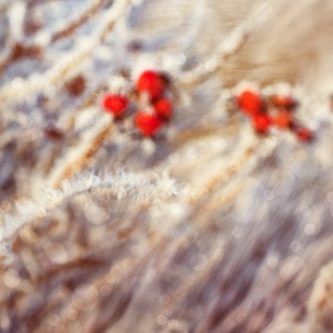 Wandplatte-Duschrückwand-Aluminiumverbund-individual-Decor-Küchenspiegel-Wandverkleidung