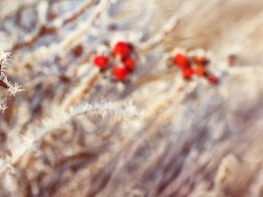 Wandplatte-Duschrückwand-Aluminiumverbund-individual-Decor-Küchenspiegel-Wandverkleidung