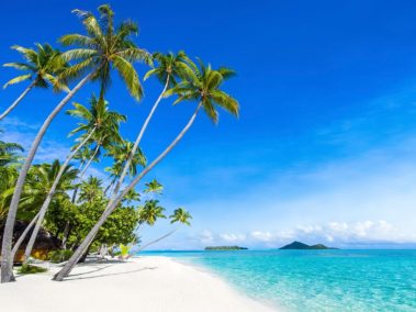 Wandplatte-Duschrückwand-Aluminiumverbund-individual-Decor-Strand