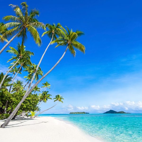 Wandplatte-Duschrückwand-Aluminiumverbund-individual-Decor-Strand