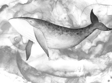 Wandplatte-Duschrückwand-Aluminiumverbund-individual-Decor-Schwarz-Weis-Wandverkleidung | Duschrückwände | Wandgestaltung | Wandplatten