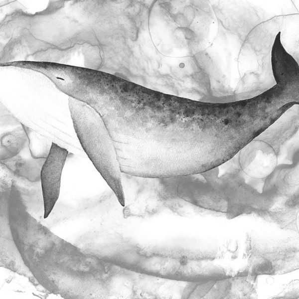 Wandplatte-Duschrückwand-Aluminiumverbund-individual-Decor-Schwarz-Weis-Wandverkleidung | Duschrückwände | Wandgestaltung | Wandplatten