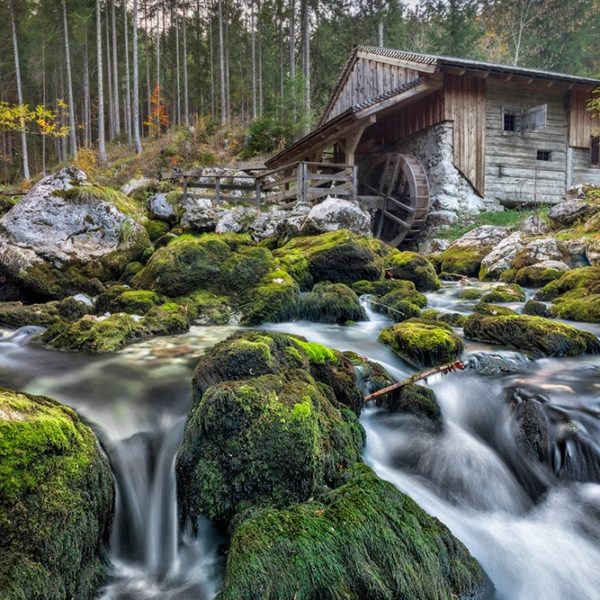 Wandplatte-Duschrückwand-Aluminiumverbund-individual-Decor-Wandverkleidung | Duschrückwände | Wandgestaltung | Wandplatten
