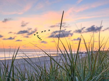 Wandplatte-Duschrückwand-Aluminiumverbund-individual-Decor-Wasserfall